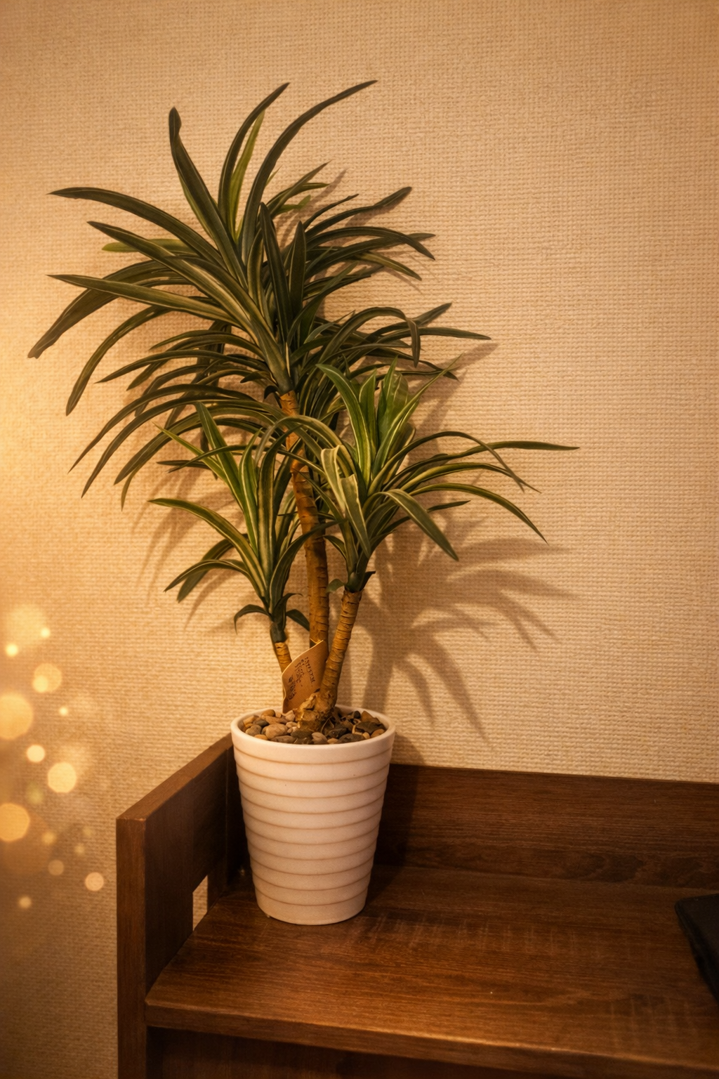 file 00000000e63471fdad812b60e3d3d3bb